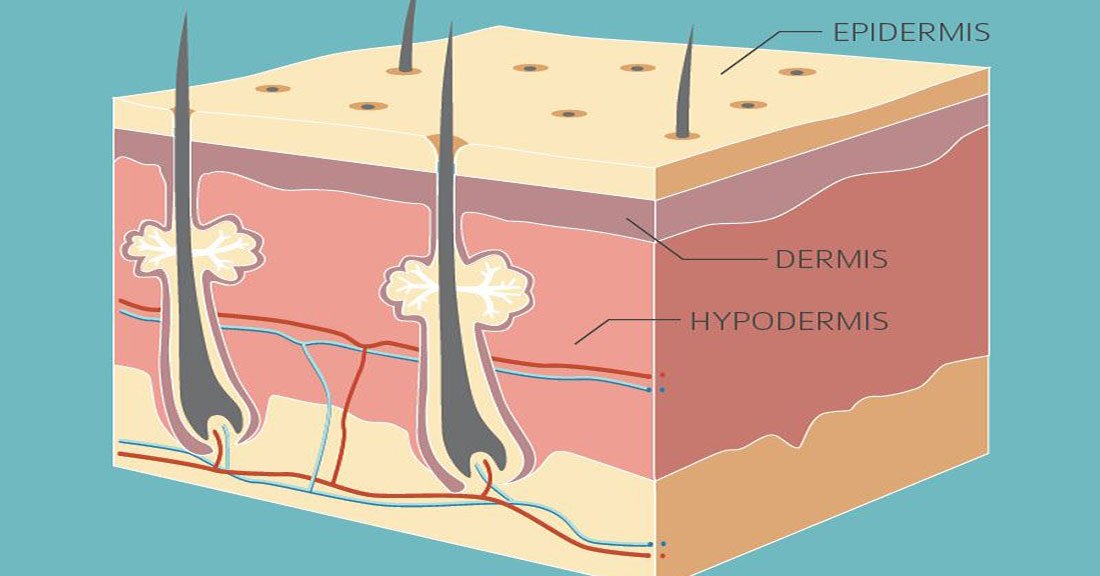 AHealthBlog's tweet photo. 5 Tips for Dry Skin Relief ➡ https://t.co/ZndttCAsQc https://t.co/DXsxZEjVCx