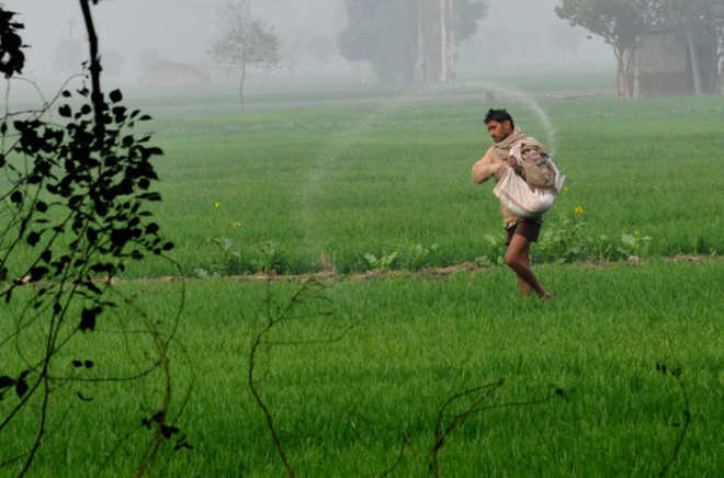 sambhajinagarm's tweet photo. #Maharashtra govt announces loan waiver for farmers; loans of small, marginal farmers to be waived off immediately. https://t.co/PXALGyNWIN