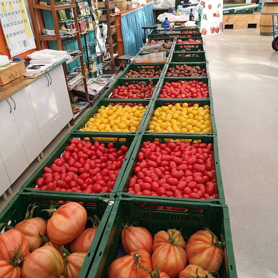 ClisolTurismo's tweet photo. Nuestras Minihortalizas y algunas no tan minis 😄 

Disfrútalas 👉 https://t.co/9VTwmXZhNX 🍅🌶

#ClisolTurismoAgrícola https://t.co/M5R7B1610y