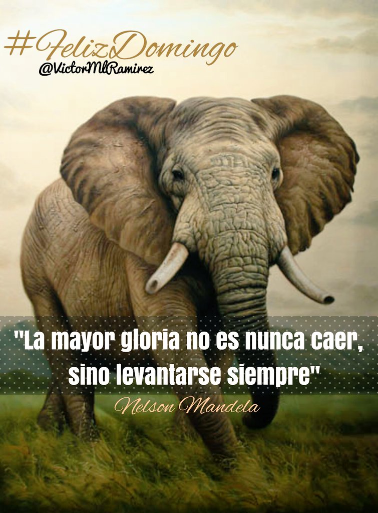 VictorMlRamirez's tweet photo. #FelizDomingo https://t.co/Q6mo9FNOxs