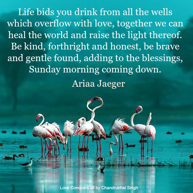 AriaaJaeger's tweet photo. Good morning #LovingKind Wishing you a poetic day filled with #LOVE. #SundayMorningComingDown #SundayMorning #love #beauty https://t.co/FR0GPoN7HP