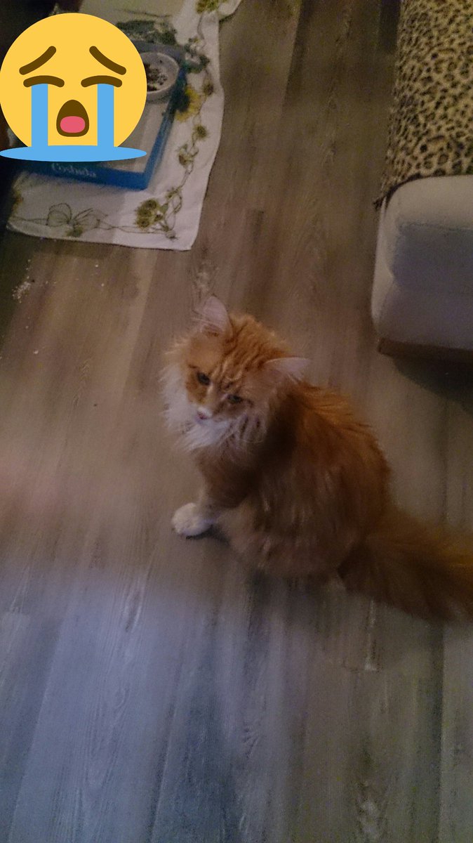 Shadowguy2310's tweet image. Rest in Peace old buddy :'( :'( :'(