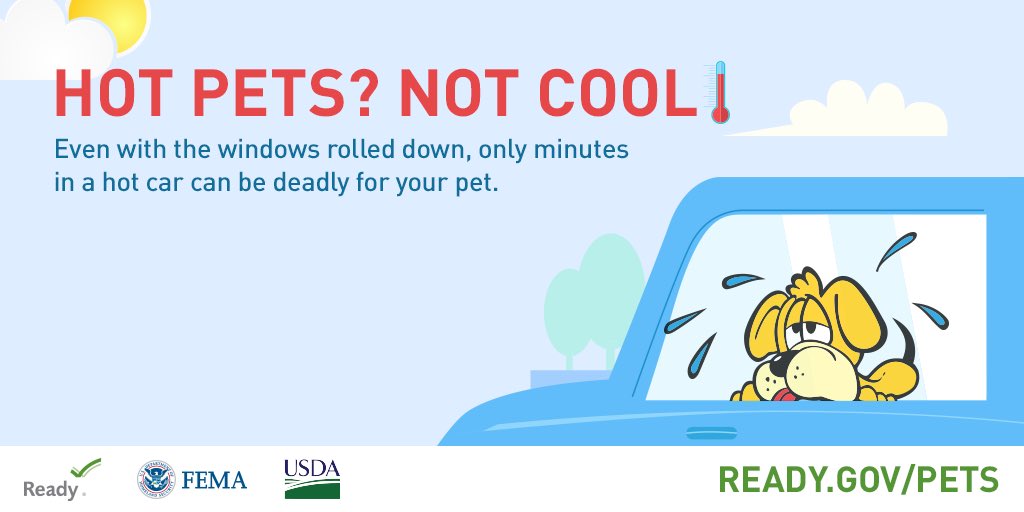 Never leave pets in the car! Temperatures rise quickly and can be deadly for your pet. #HeatSafety