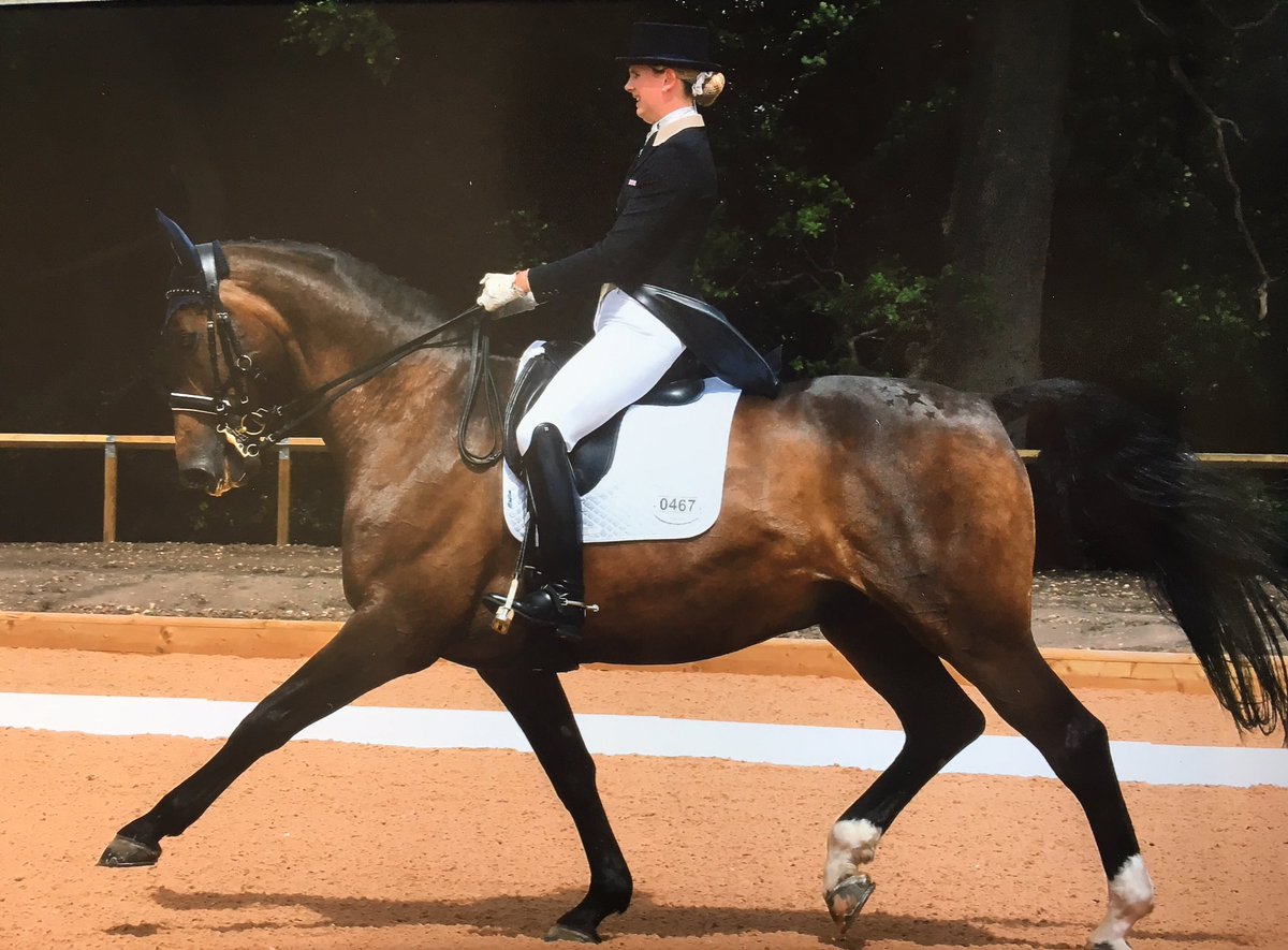 Tor Fenwick Dressage tweet media