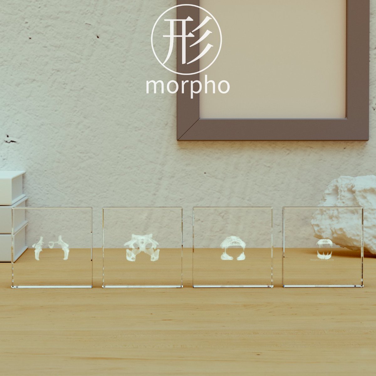morpholibrary's tweet photo. four pieces, cross section, #crystal  #Datavisualization   #morpholibrary #bones https://t.co/QXAZGCDdQ9