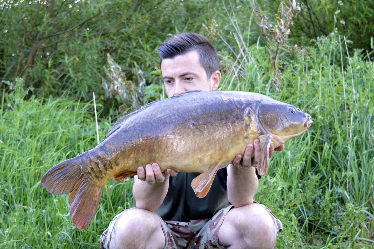 Michael Trench (@mickytrench) on Twitter photo 