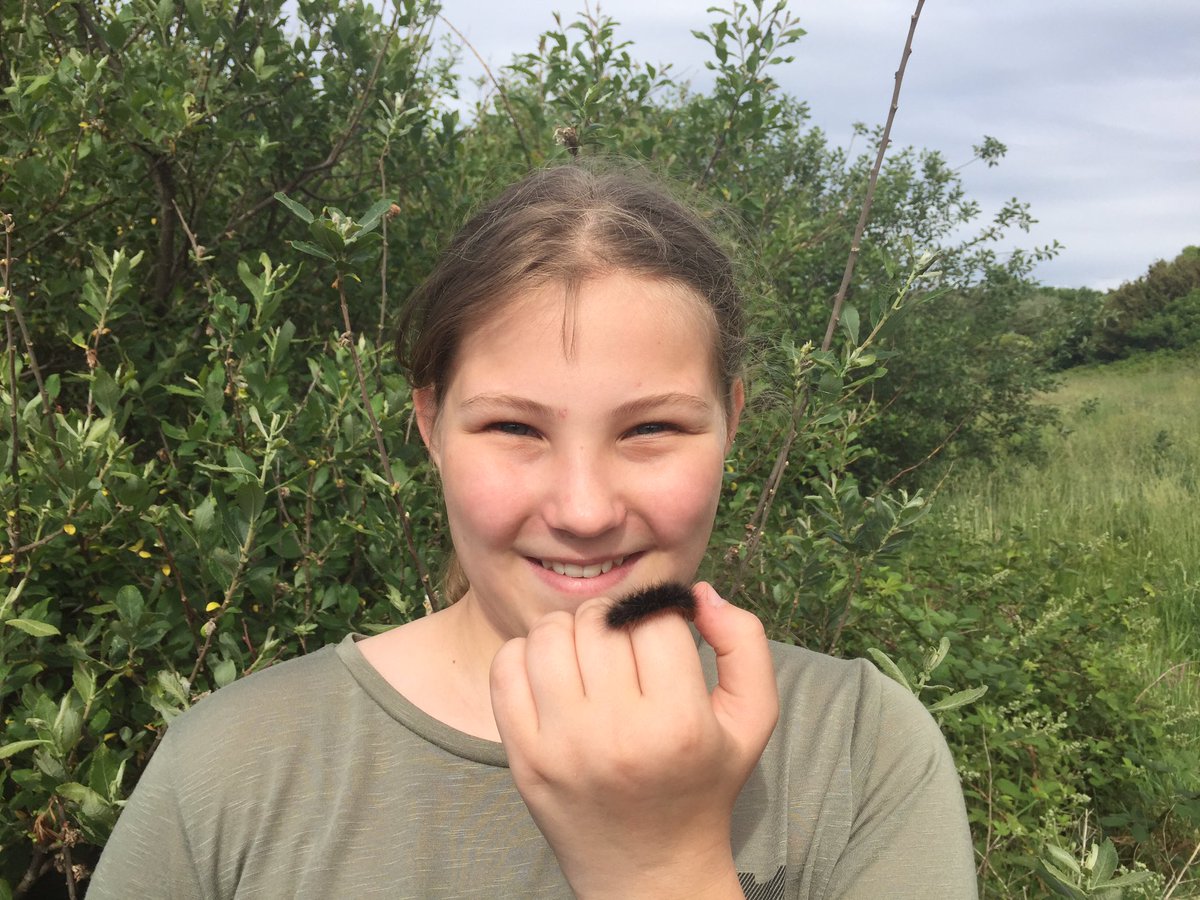 Melissa-May with Garden Tiger Caterpillar we found in Lancashire last week - a declined species the first I've seen in more than 20 years