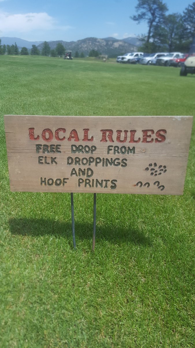 tmhmtn's tweet image. #localrule