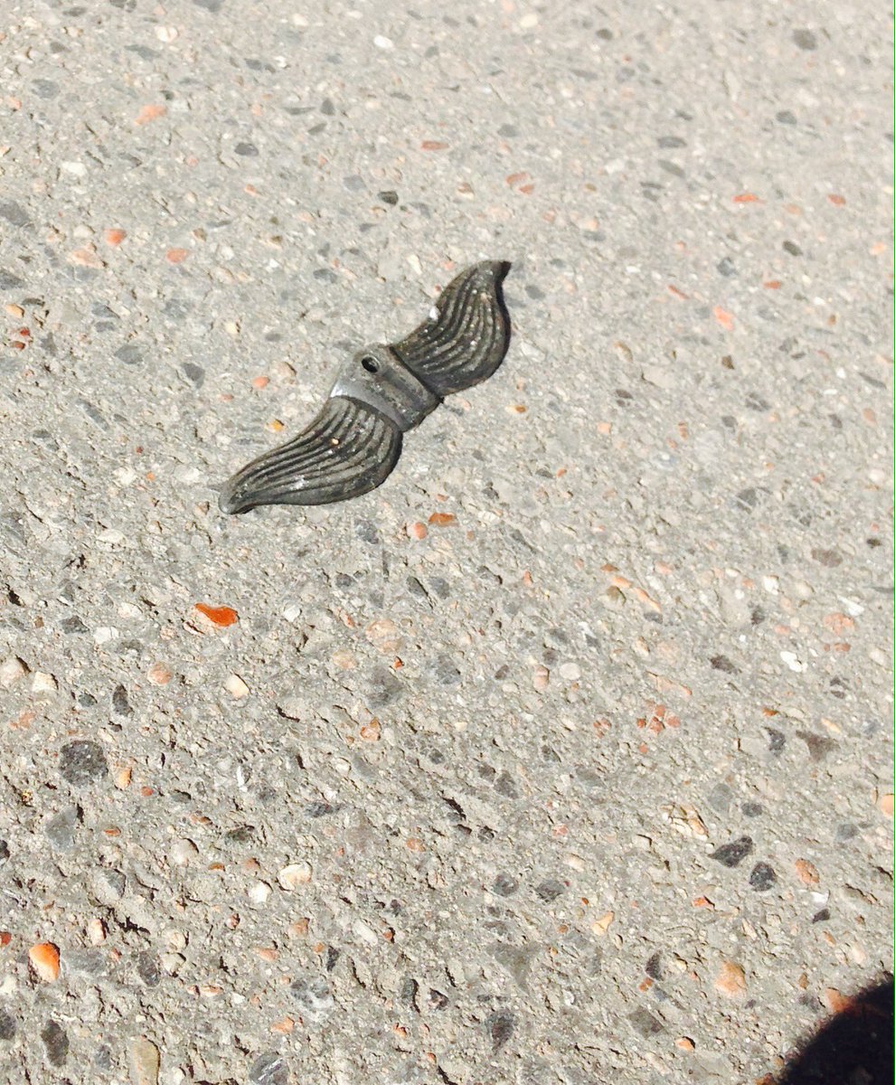 C'est l'été et des propriétaires sans scrupules abandonnent des moustaches sur les routes. #scandal #paris #triste