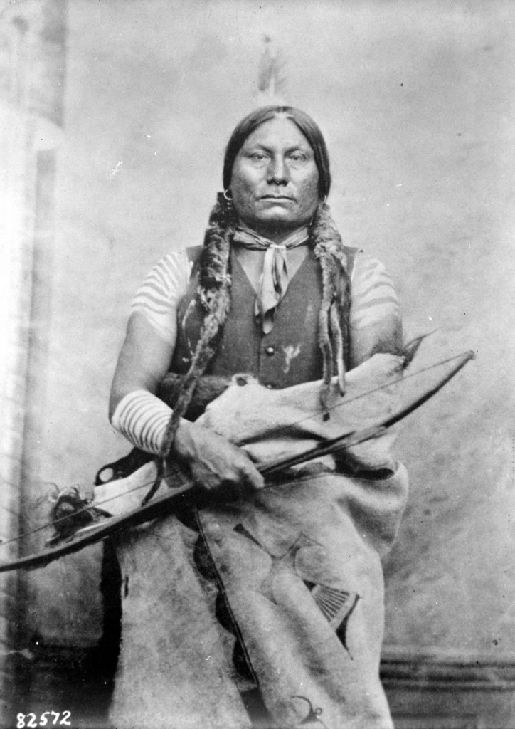 This is What Chief Gall Looked Like  in 1871 