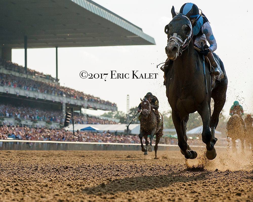 Tapwrit and his shadow are first to the finish of the 149th Belmont Stakes. #HorseRacing #BelmontPark #NewYork