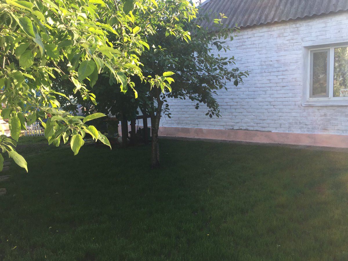 EasyRabbits's tweet photo. Step # 2. Site improvement. Why only rabbits? We start with chickens 🐓👉🐇 they get along well https://t.co/AtWljNrVGm