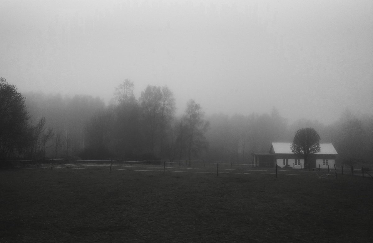 oktobernatt_'s tweet photo. https://t.co/YC66S16Mnd
#Gloomy #NaturePhotography https://t.co/wCNCUc68Db