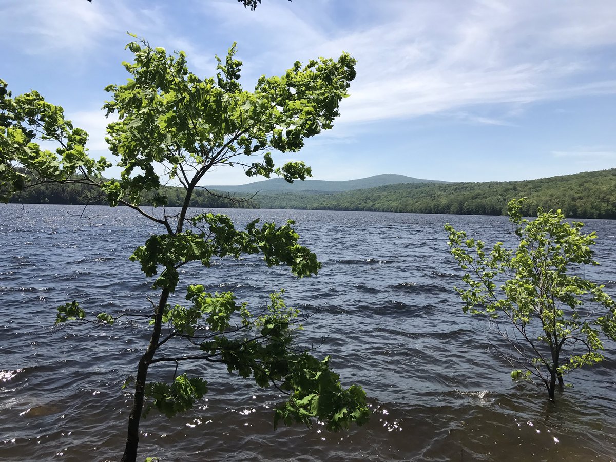 VtJeanne's tweet photo. In my happy place! 🌞 #harriman #vtbeginshere #goodforthesoul https://t.co/CfGQaHDqqm