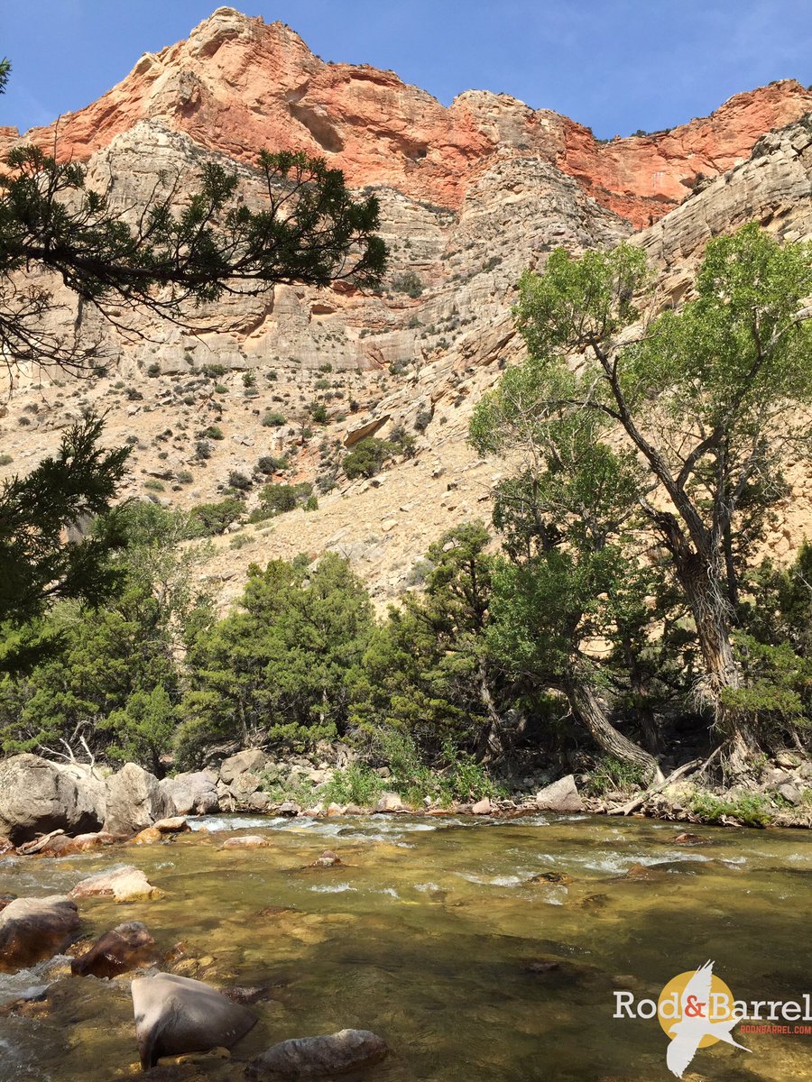 RodnBarrel's tweet photo. My daydreams of my immediate future are of this scene on #ShellCreek #flyfishing for brown and cutthroat #trout Just a few more weeks https://t.co/wzTDA7McnH