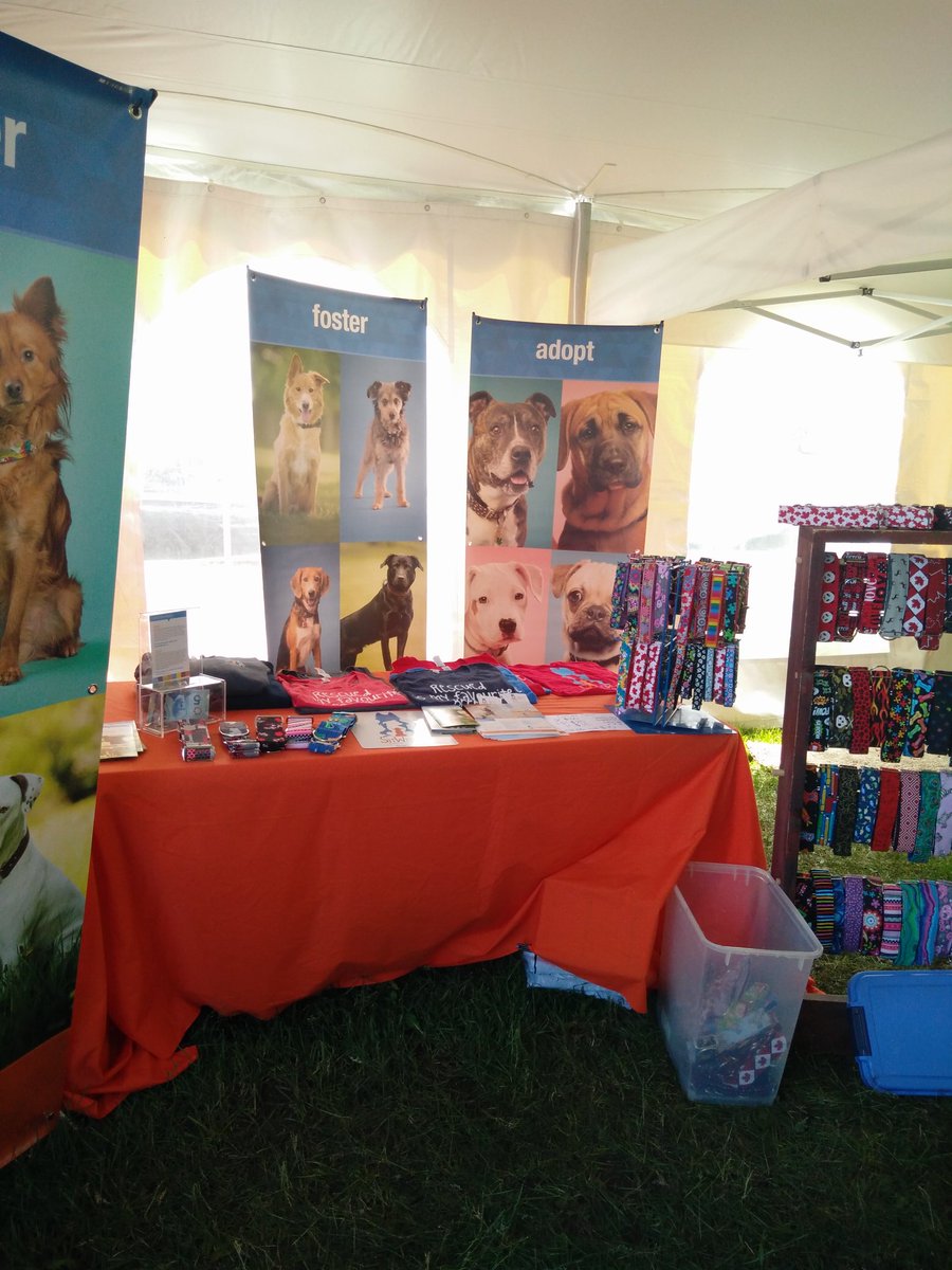 SitWithMeRescue's tweet photo. Come say hi at @OttDogFest! We're here all day @RACentreOttawa selling SWM swag and Crazy Beautiful Collars #dogfestarmy #dogsof613 #dogfest https://t.co/HAEsAGYgWo