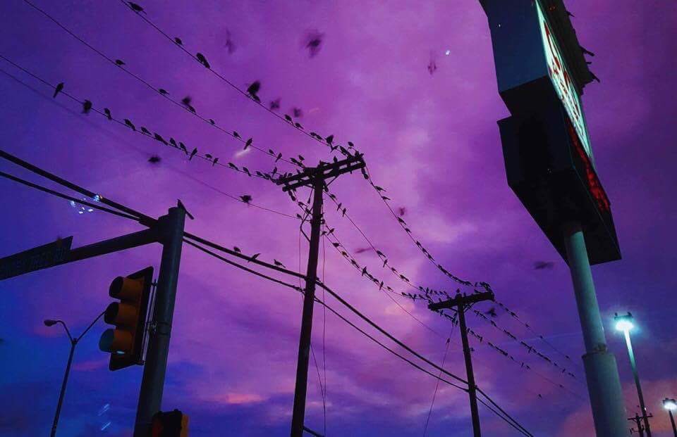 Subridentl's tweet photo. Pictures I've taken of the sky. https://t.co/t5yXgh5X6O