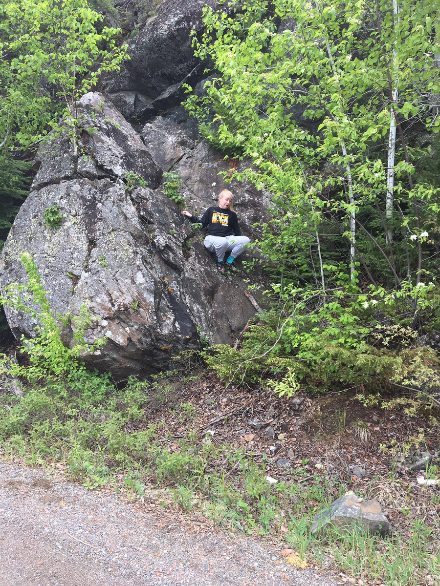 janika_mirjam's tweet photo. I love nature❤️😌🌲 https://t.co/j6XopqShSC