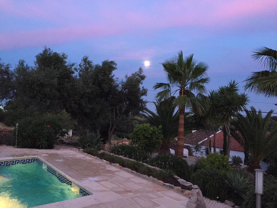 #casaverdazul#longnights#poolsight