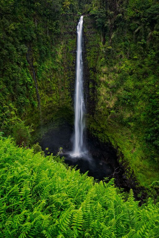 FluffioTP's tweet photo. Hawaii  #Travel &amp; #TravelPhotography https://t.co/g9dnnhNQhz