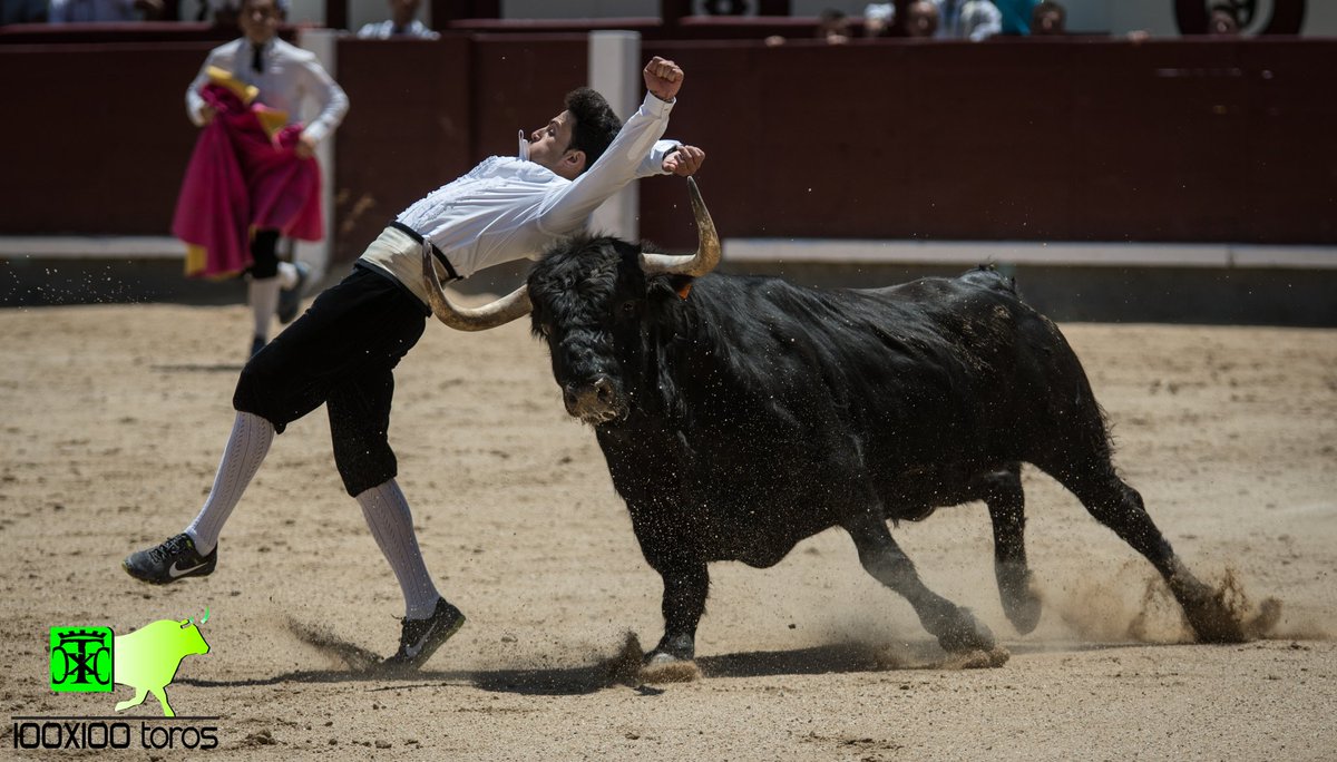 100x100Toros's tweet photo. En la mañana de hoy este tío nos ha dejado claro como debe comportarse un TORERO en la plaza. 
#ToroPasion #LasVentas'17 https://t.co/pfx8xCChtp