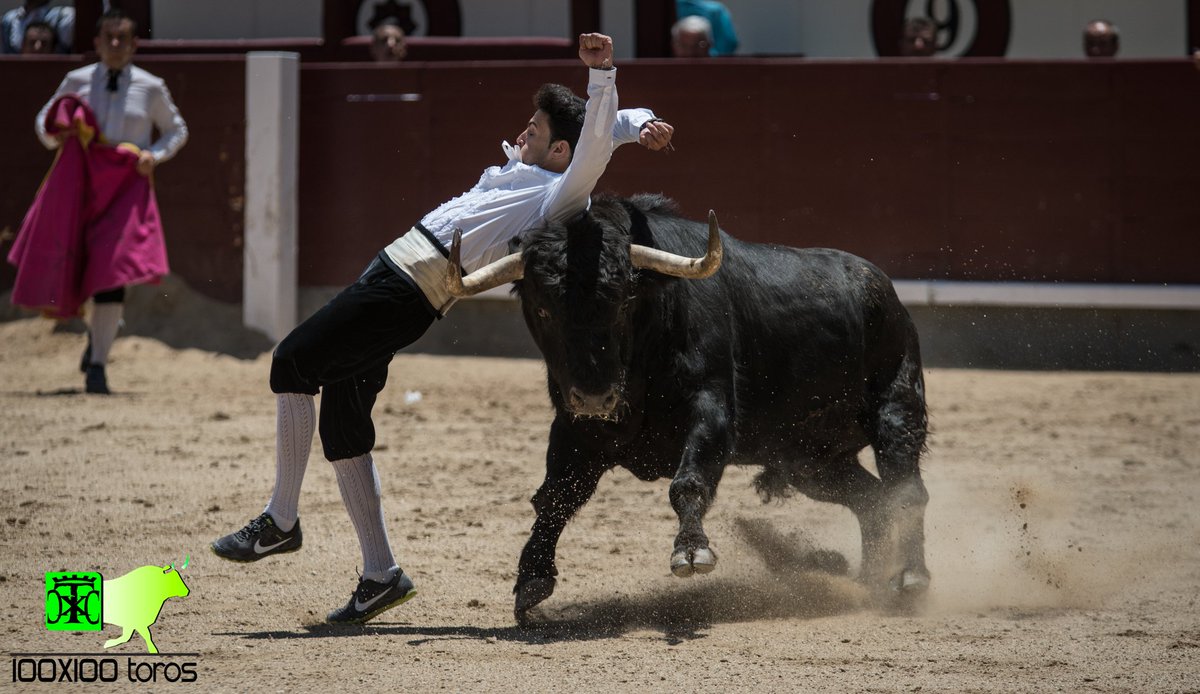 100x100Toros's tweet photo. En la mañana de hoy este tío nos ha dejado claro como debe comportarse un TORERO en la plaza. 
#ToroPasion #LasVentas'17 https://t.co/pfx8xCChtp