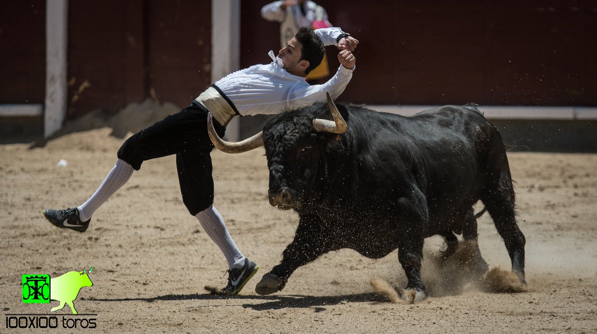 100x100Toros's tweet photo. En la mañana de hoy este tío nos ha dejado claro como debe comportarse un TORERO en la plaza. 
#ToroPasion #LasVentas'17 https://t.co/pfx8xCChtp