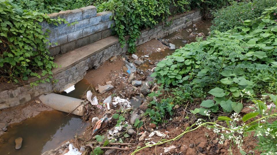 hemmigepura's tweet photo. One more lake going belandur way at ward 198, Hemmigepura. Proactive actions required let us not wait till it catches fire https://t.co/BfkTSNV0gF