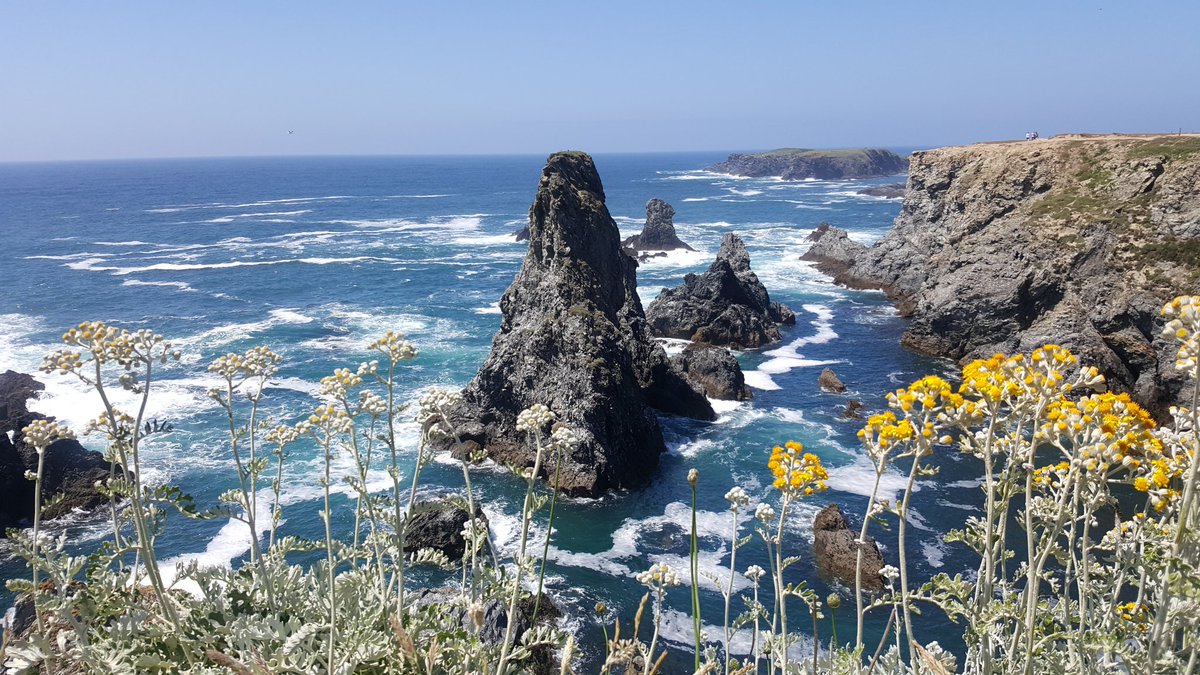 AnnSabai's tweet photo. Belle île en mer ❤ très belle île @Alain29600 @EricCuzon @BreizhWeCan bonne fin week-end 😙😙😙 https://t.co/zjUqYf4tpr