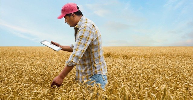 rase_phil's tweet photo. #IoTReport: Top lessons, pitfalls, and benefits from real initiatives #iot #iiot #internetofthings #AI https://t.co/eazutCa7lo https://t.co/uOoc4Q2NeZ