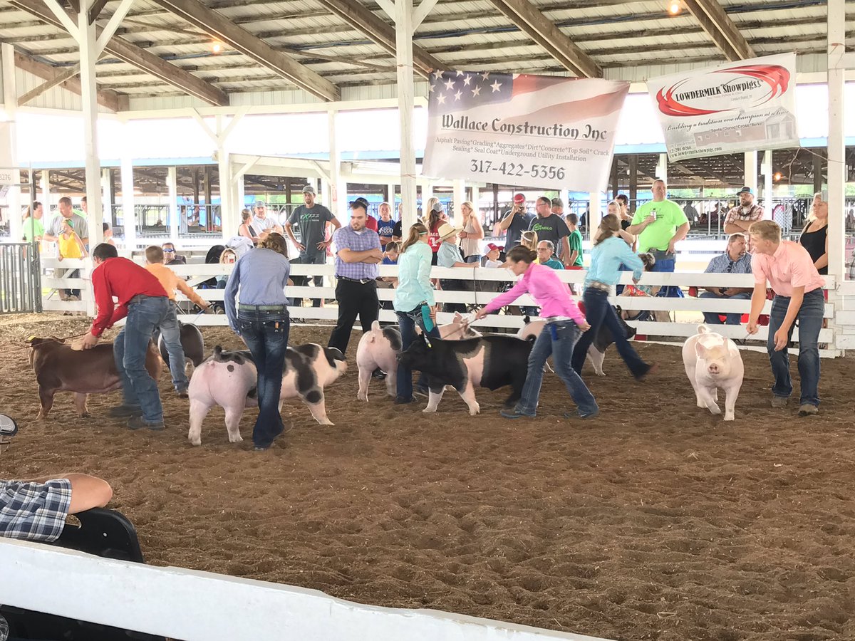 JC_Showpig's tweet photo. Johnson County Swine Exhibitors are spending today showing at the Morgan Co Open Swine Show.. Good Luck To All! #goinshowin 🐷🐷 https://t.co/hVjAGTePH2