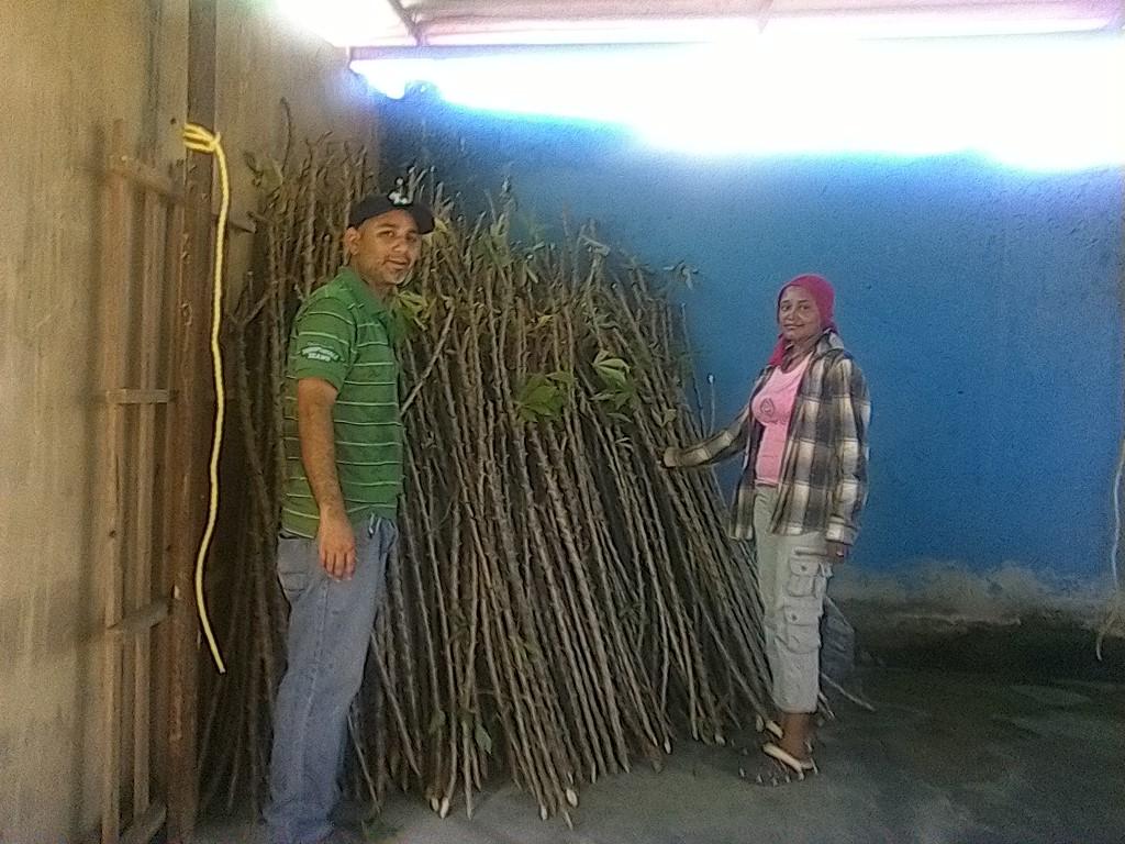 amazovida's tweet photo. Productores preparan semillas para jornada a cielo abierto. Potenciando la agricultura urbana en amazonas @borisbenavides1@MinPPAU #activos https://t.co/Ztz6jsIGtf