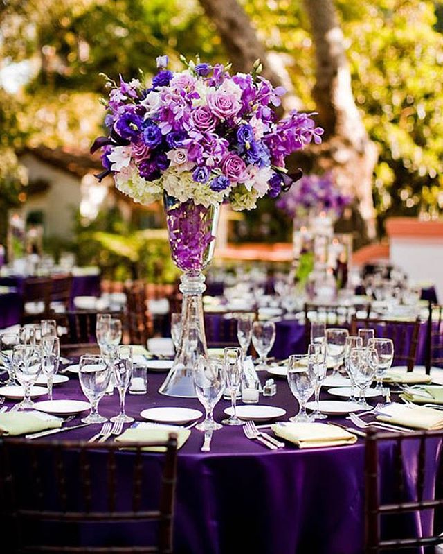 MyHotelWedding's tweet photo. https://t.co/jn7aKCKGFg We're swooning over these beautiful purple centerpieces! Check out MHW for more inspiration and FRE https://t.co/ONxojglIVj