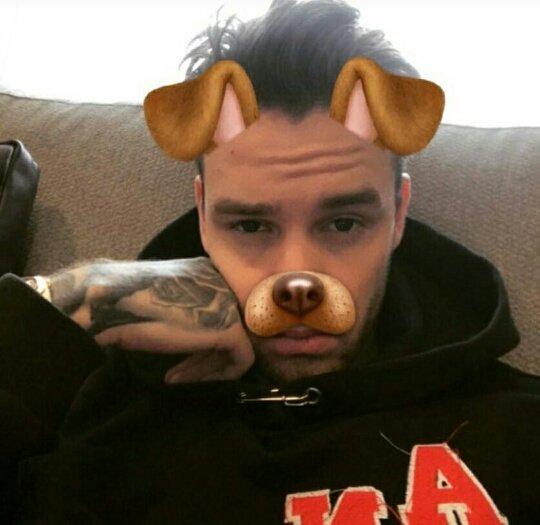 _MateoxPalacios's tweet photo. 🐶💕 https://t.co/eRzfqAqWyU