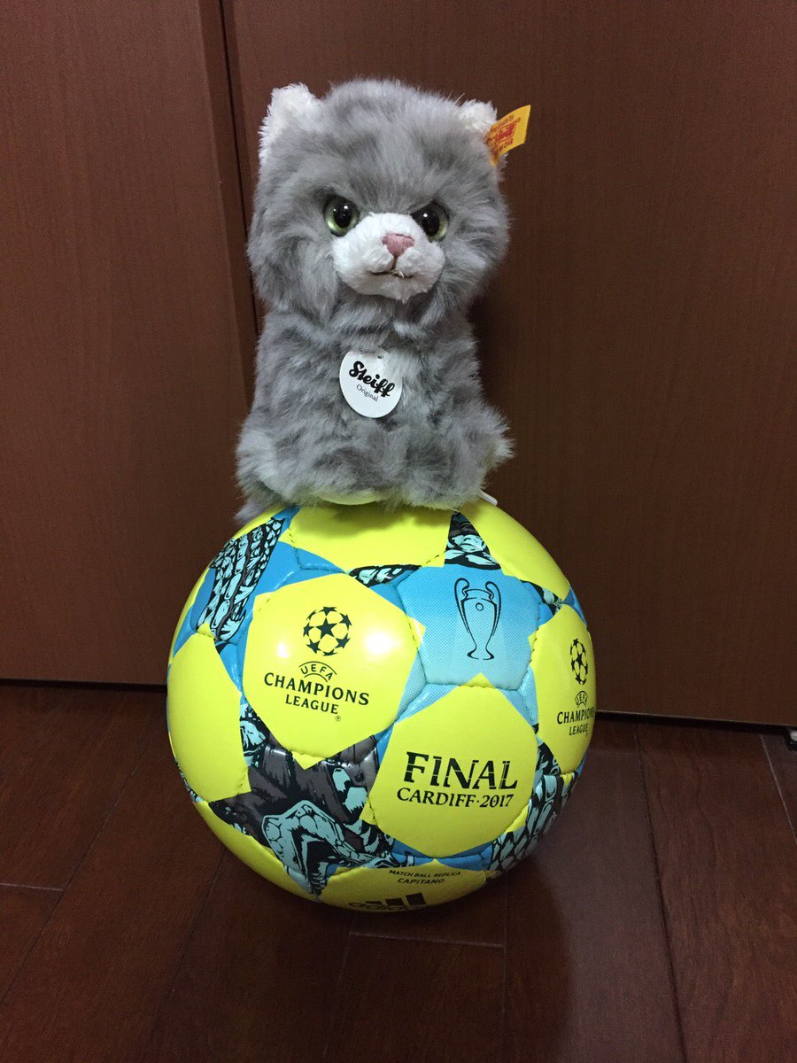 Maya_chan13's tweet photo. サッカーぼーる！⚽️ https://t.co/wEQKObuuKh