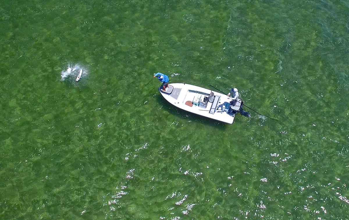 silverkingstv's tweet photo. View from above of Bou bosso and Jorge Martinez /// #silverkings #fishthelegend #builtforthewild #seadeked #divein #nopassportrequired https://t.co/IPIMREkVCP