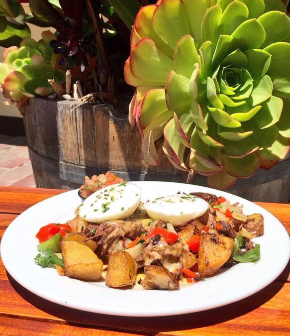 Succulent_Cafe's tweet photo. Our Short Rib Hash n' Eggs is one of our hottest #breakfast items! Served 6 days a week for breakfast &amp; lunch! #Solvang #SantaYnezValley https://t.co/P9N2uO6Byh