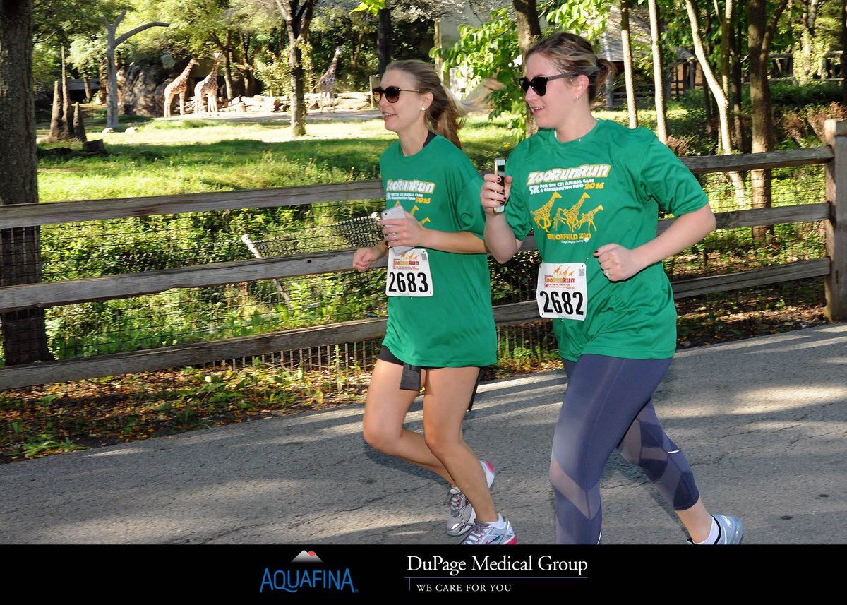 brookfield_zoo's tweet photo. Set a personal best on a flat course #running past #lions, #giraffes & #lemurs! Register today at https://t.co/3aS8sH8Omy #callingallrunners https://t.co/QvF7hfsUGv