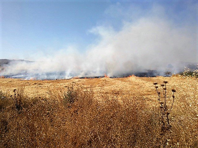112rmurcia's tweet photo. #BomberosCEIS @112PtoLumbreras han intervenido en extinción de incendio de campo de cereales en #PuertoLumbreras. https://t.co/28SggQLU6p https://t.co/OZDicXtFop