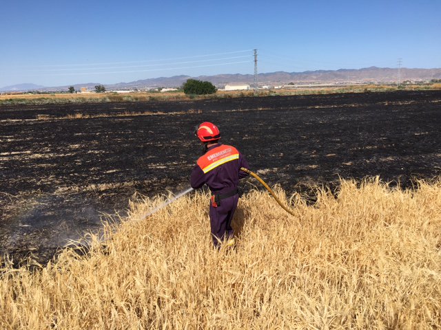 112rmurcia's tweet photo. #BomberosCEIS @112PtoLumbreras han intervenido en extinción de incendio de campo de cereales en #PuertoLumbreras. https://t.co/28SggQLU6p https://t.co/OZDicXtFop
