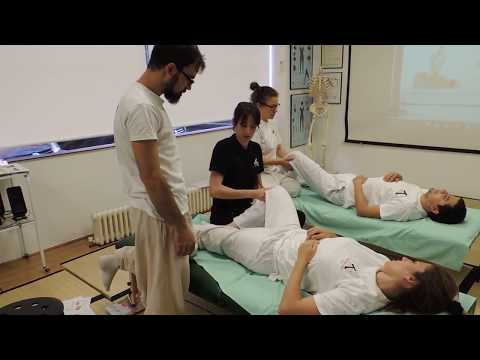ShiatsuCentral's tweet photo. #shiatsu Shiatsu en camilla - https://t.co/5O6yPVMvyU #RT #Retweet https://t.co/whLZYDi7FD