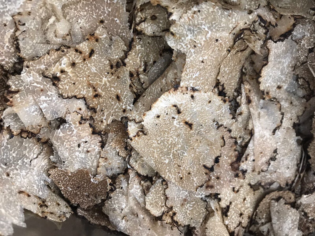 meleEpere's tweet image. Another great year at @sohofoodfeast Thanks to everyone who made it down for @SohoParishScoop See you all soon for your truffle fix #soho