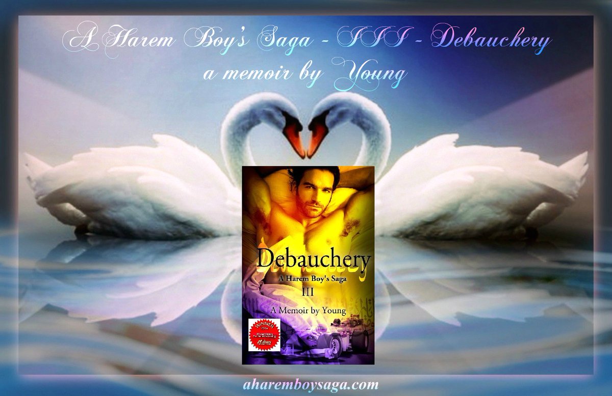 YoungFoong8's tweet photo. #ThereIsAlwaysThatOne that's a bestseller.
DEBAUCHERY: https://t.co/xYNUYs39VK
#RRBC #TWFBG @Solsticepublish https://t.co/i9ixrM0EjU