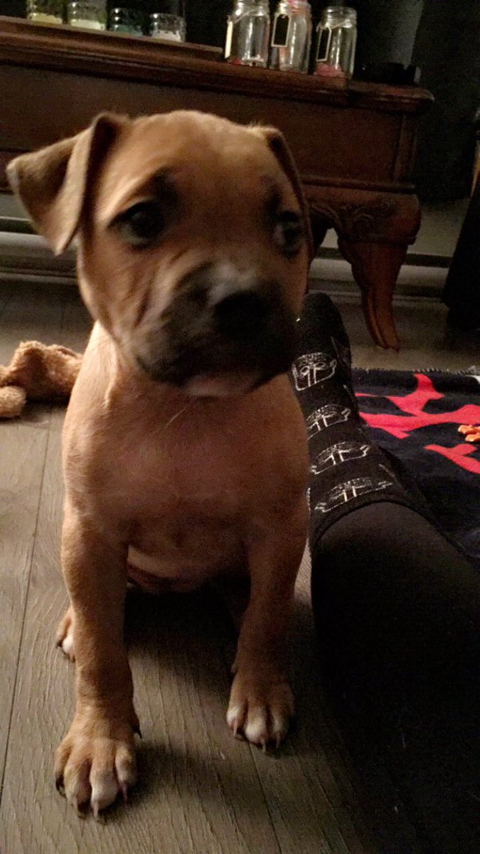 anxious__emmy's tweet photo. She hasn't changed much. #foreverpouting https://t.co/pomhmJj6H8