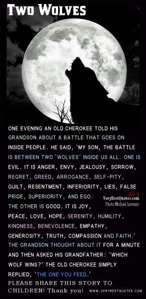 Newsericks's tweet photo. @cottoneyedjo @Kalarigamerchic @MadMadamD @GOP @realDonaldTrump All humans have the potential for hate&amp;evil in our hearts, just like the #TwoWolvesProverb says. The @GOP deliberately fed the #EvilWolf 👹 https://t.co/90OOKf1IcX