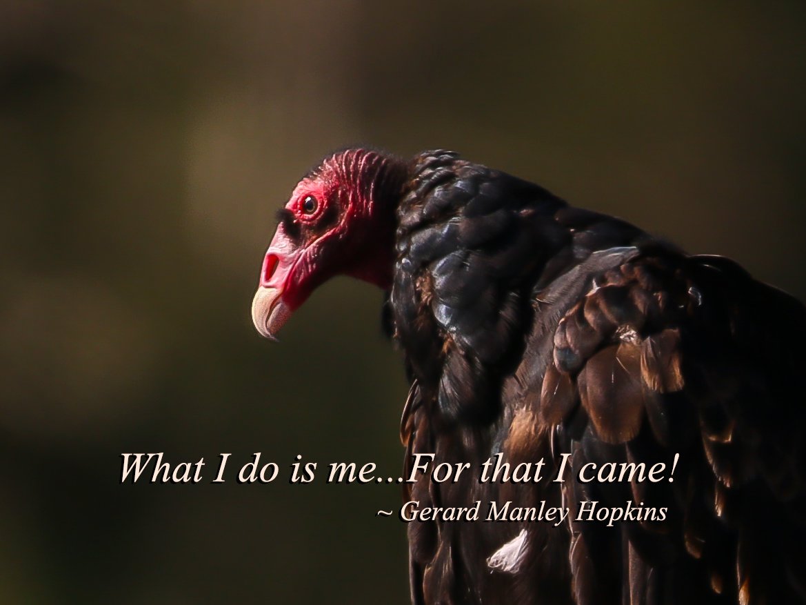 RKSalmon's tweet photo. Each mortal thing...deals out that being indoors each one dwells...
Crying: What I do is me: for that I came.  ~ Gerard Manley Hopkins https://t.co/CA8e5D4cSo