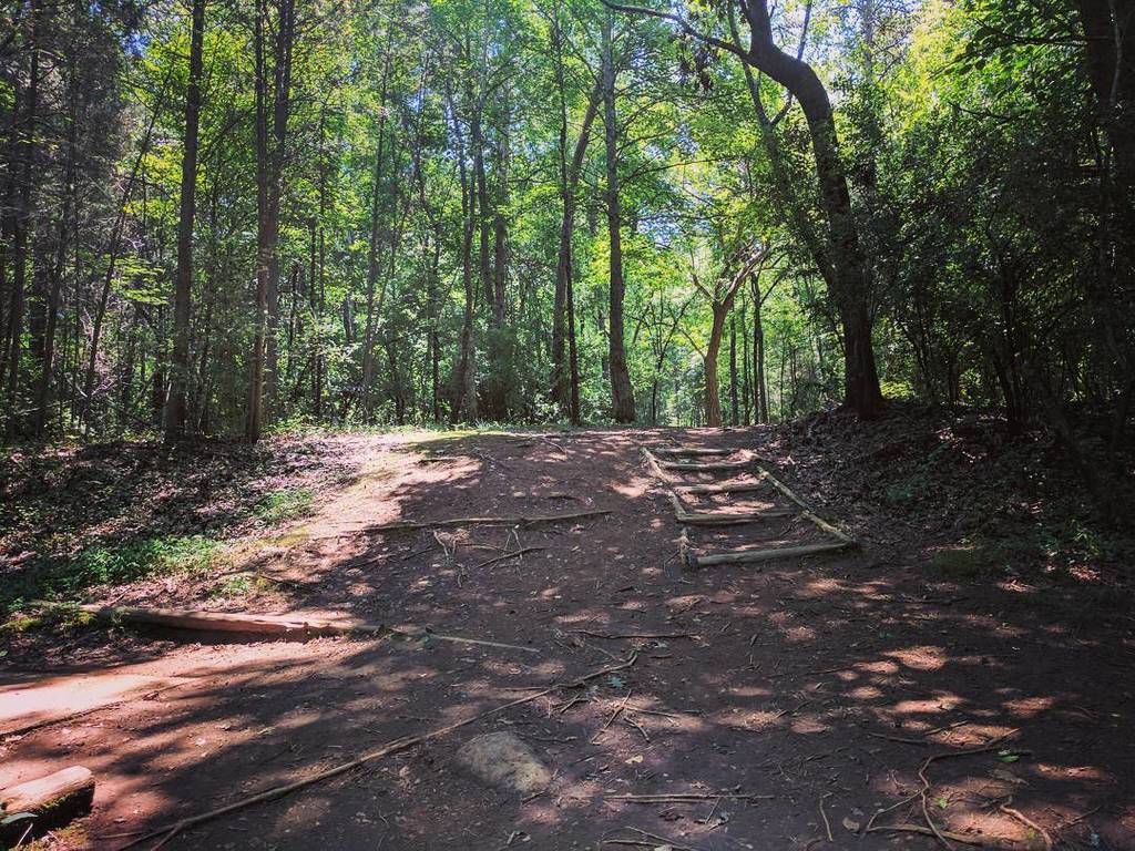 Stuart Neal tweet media