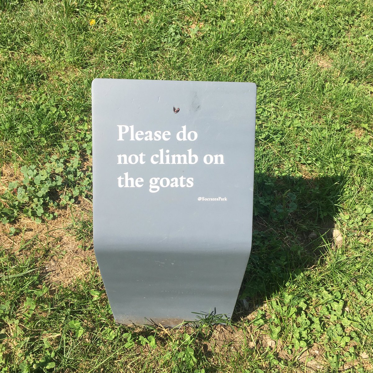 MoviEngCities's tweet photo. Bumped into #NariWard new pieces at @SocratesPark. Loved the sign "Please do not climb the goats" 🐐🐐🐐 #GOATagain #publicart #ITweetMuseums https://t.co/nEQanZLFi7
