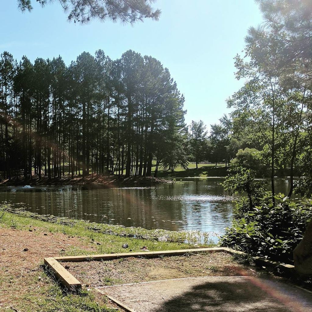 Stuart Neal tweet media