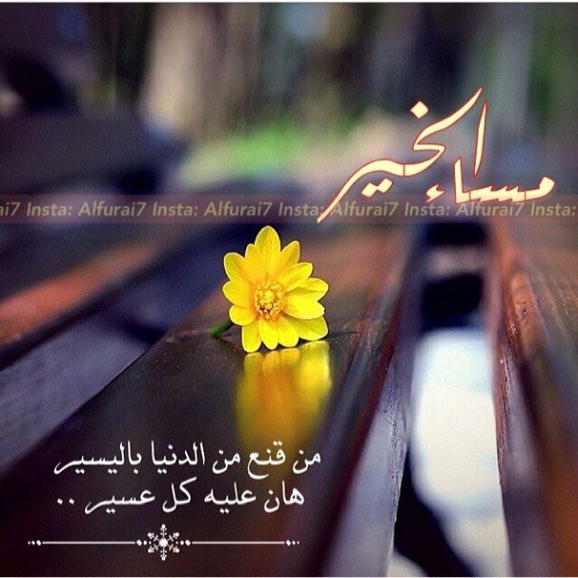<a href="/bosyzezo1/">الخنساء✒️</a> @JTykNJMDioMATMT @khyr99 @aaaaaaa313sssss <a href="/bulbul1426/">بلبـ غربة قلم ـل</a> @kkppxxww4 <a href="/AhmedZubaidy/">Ahmed Zubaidy</a> <a href="/MonaKh44/">‏Sendrilla</a> <a href="/GH200922/">ام زياد</a> <a href="/muna_daboubi/">Muna Daboubi</a> <a href="/BRiGHT_Q8/">أم الفيصل🇰🇼🔻</a> <a href="/k_alraig/">النمر ابوانس</a> <a href="/AlgadaffiDania/">اوسمة عرفات</a> <a href="/laaalta/">توفي بنت الامير</a> <a href="/f63fb8a3e9da447/">لا اله الا الله</a> <a href="/ftchfgh/">صمتى لغتى !!!</a> <a href="/i2loo/">الله اكبر</a> @W00LF101 <a href="/55Hsa/">حصه ال مبارك</a> <a href="/y22bbss1/">‏‏‏كلَ_آلَعَ_ـمِر 🇸🇦🇸🇦</a> <a href="/oma1966r/">{الخـ ابوراكان ـراع}</a> مساؤكم نسمات رضا وحمد 
وثناء للمعطي الذي لاتنضب 
عطاياه اللهم لك الحمد حمداً
 يليق بجلالك وعظيم سلطانك ..
